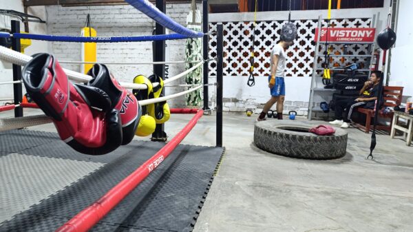 Ring de Boxeo de Piso 5 x 5 Mts
